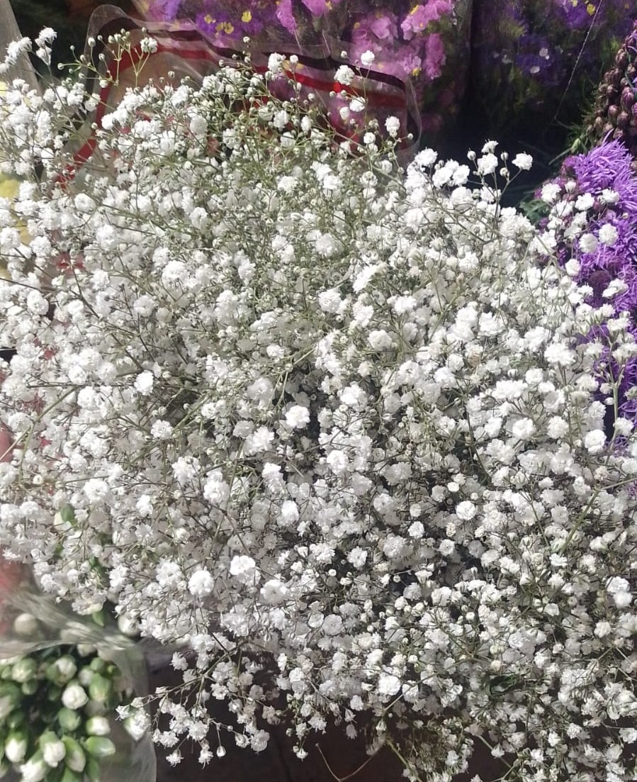 flores blancas con rosa