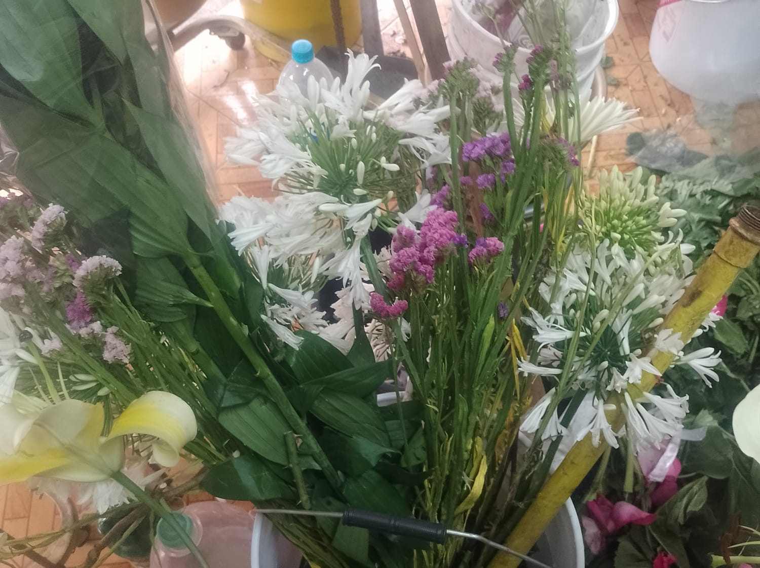 flores blancas con rosa