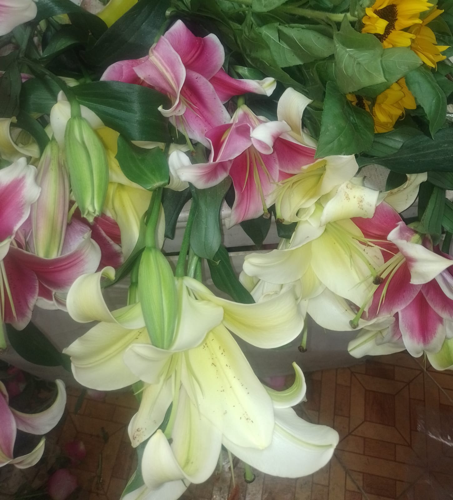 flores blancas con rosa