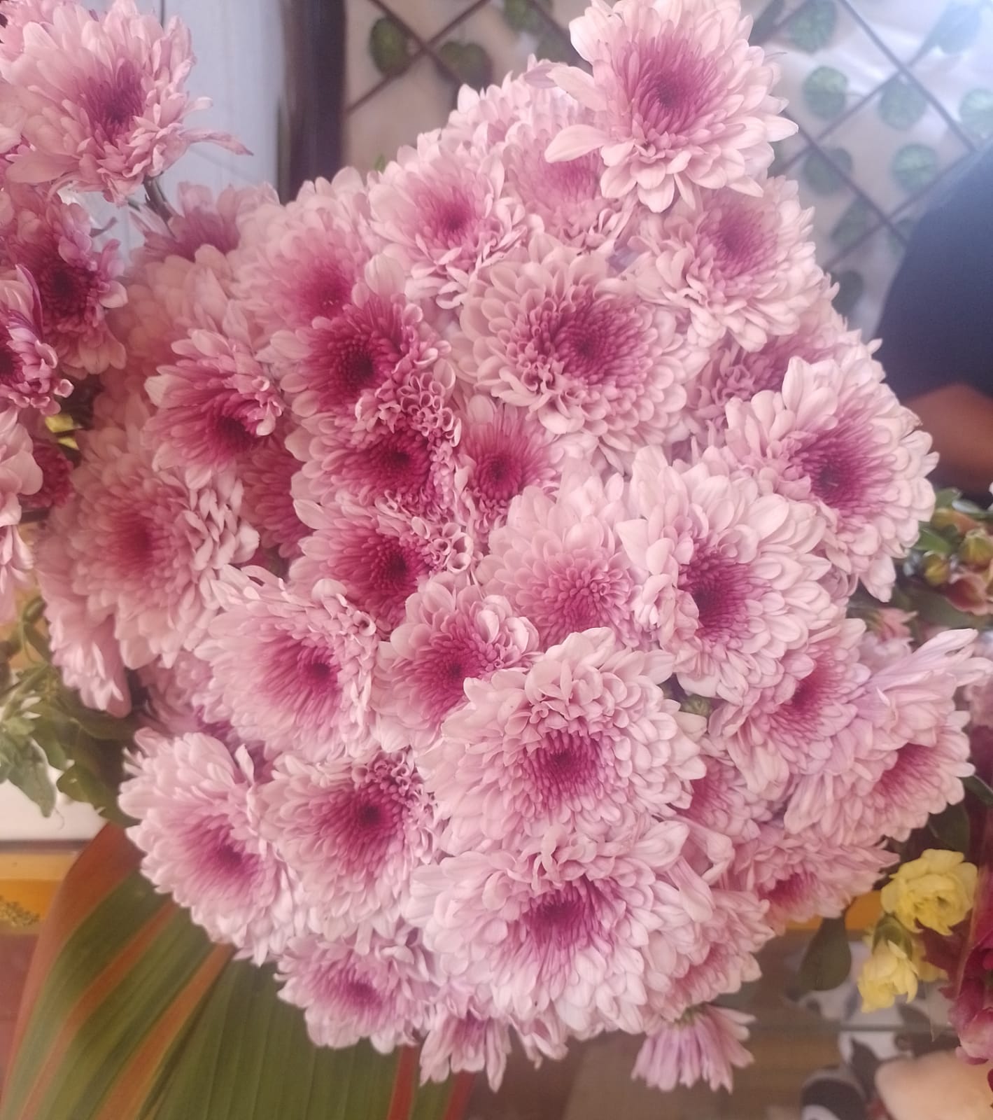 flores moradas
