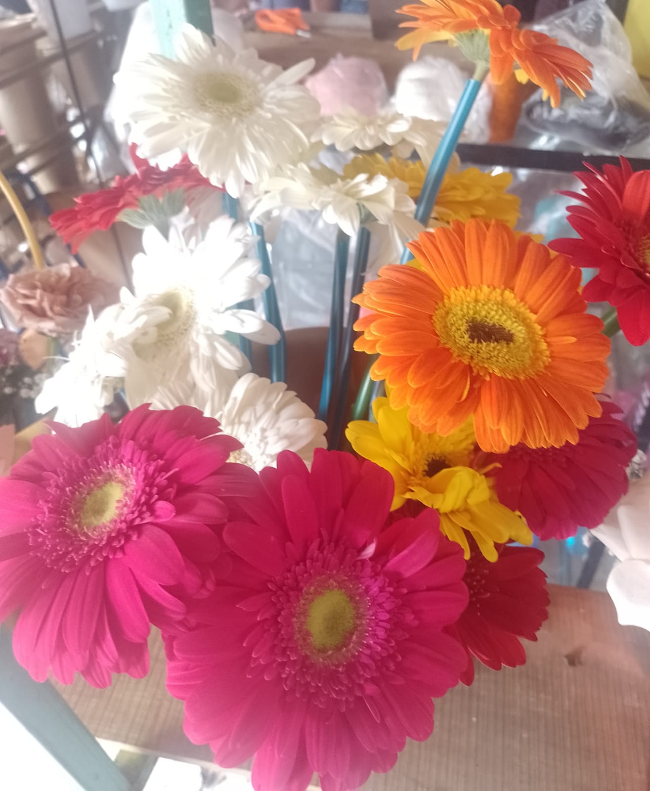 flores moradas