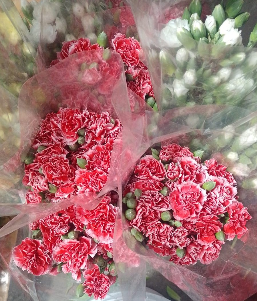 flores blancas con rosa