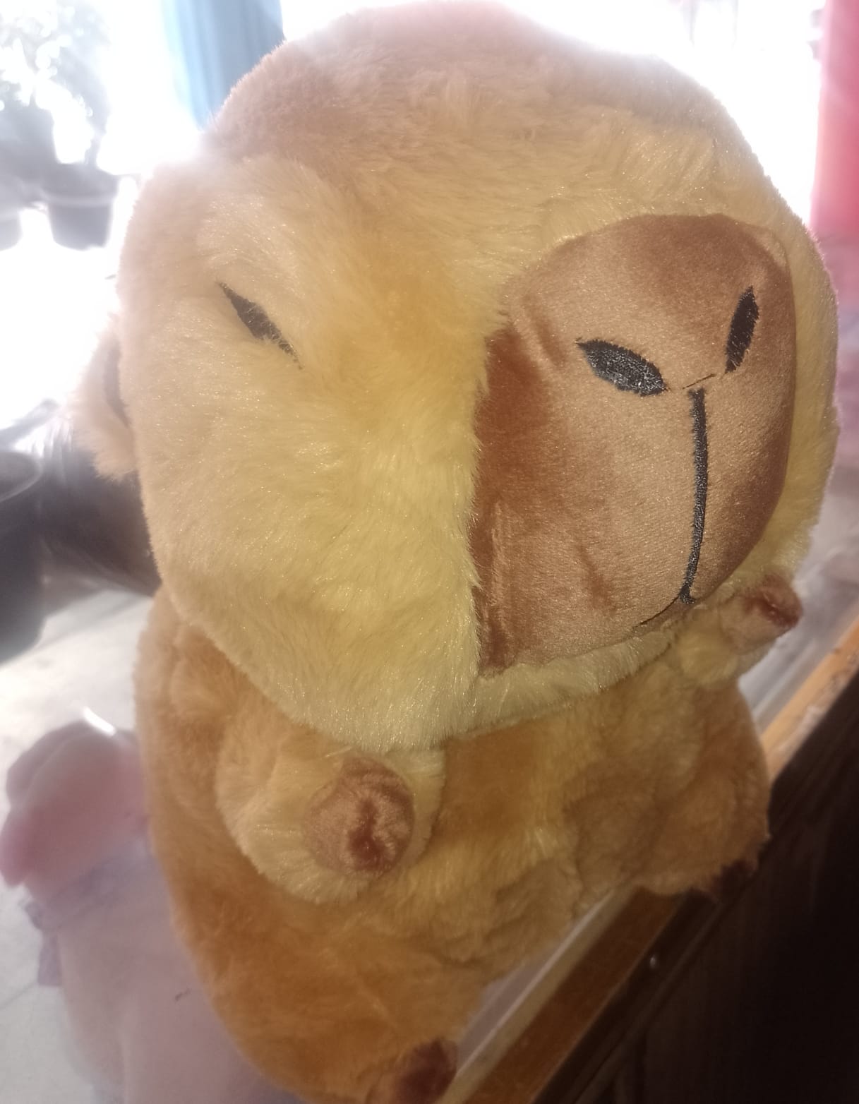 Capibara