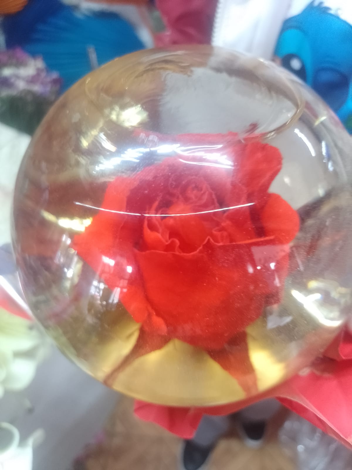 Toro