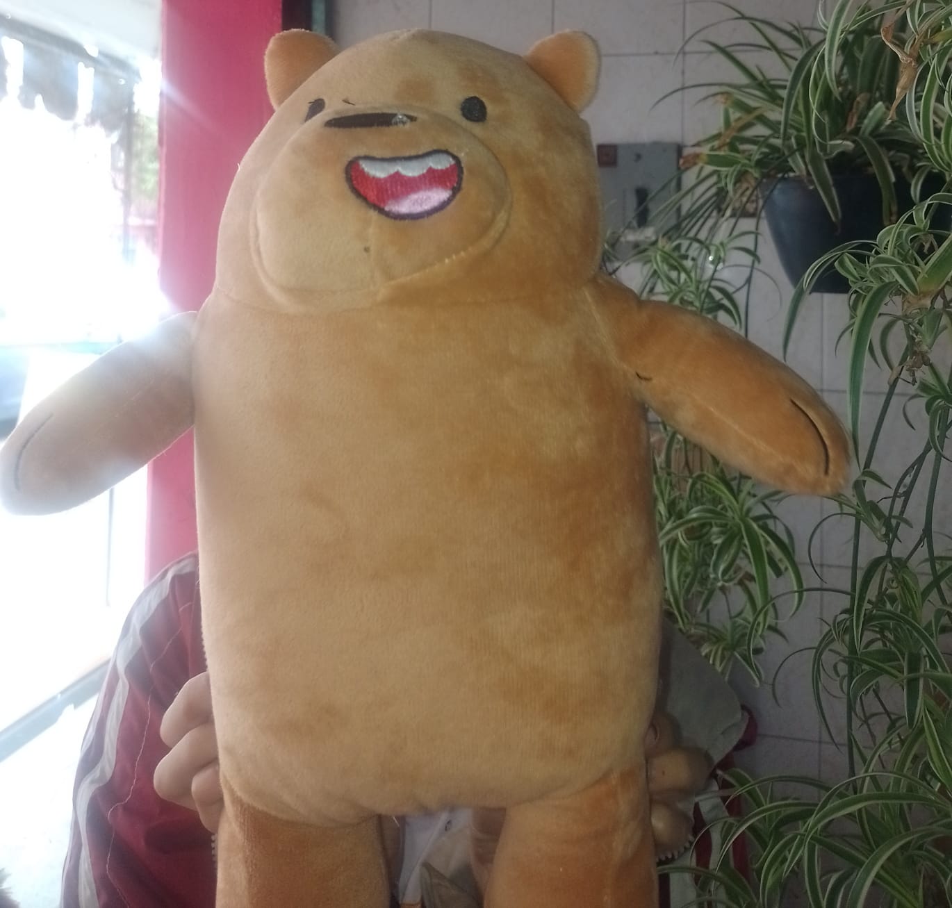 Oso Escandalosos